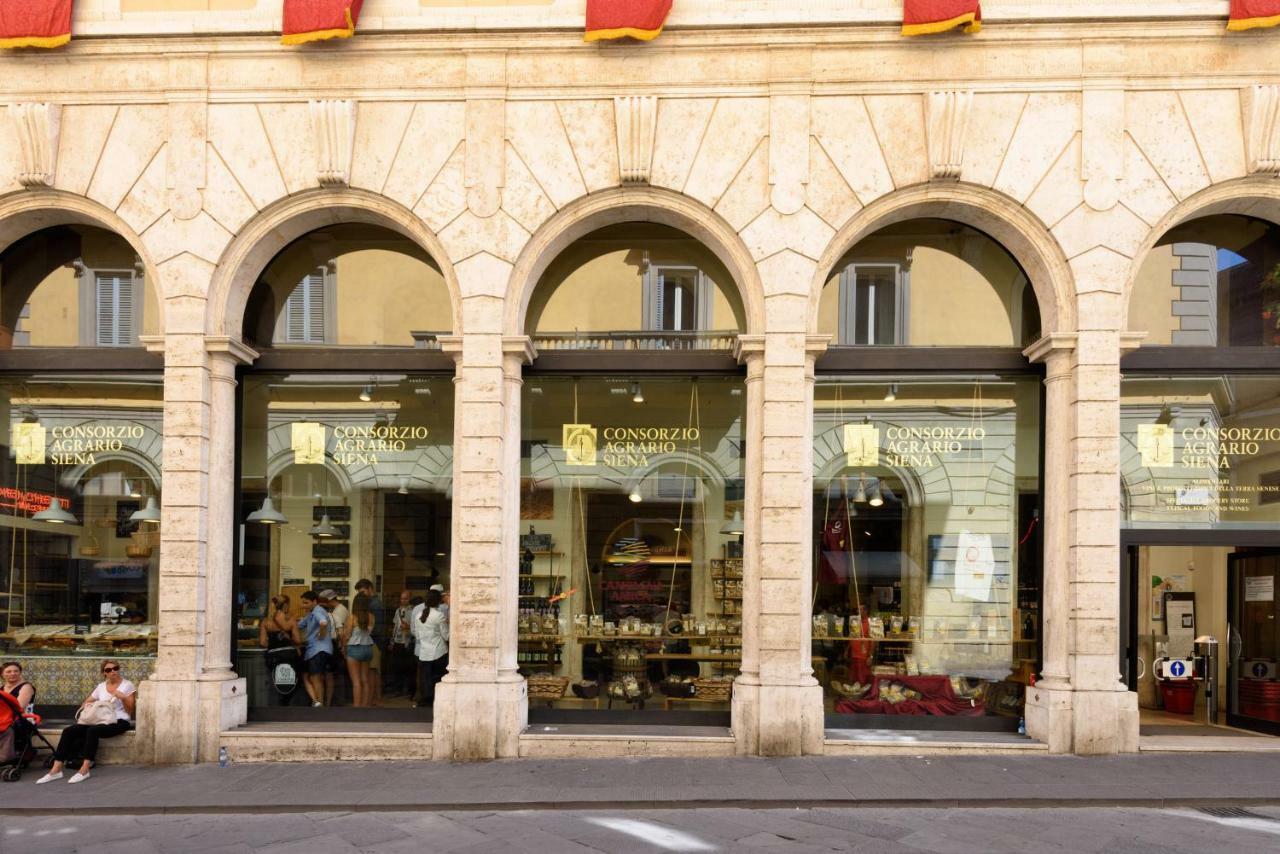 Domus Nannini Spa - Palazzo Nannini シエーナ エクステリア 写真